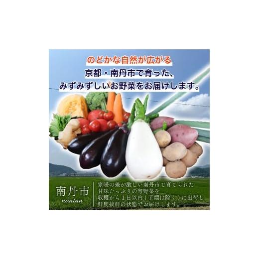 ふるさと納税 セット・詰合せ 京都府 南丹市  No.5334-0478 野菜セット＋平飼い卵6個の画像