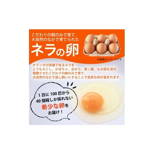 ふるさと納税 セット・詰合せ 京都府 南丹市  No.5334-0478 野菜セット＋平飼い卵6個の画像