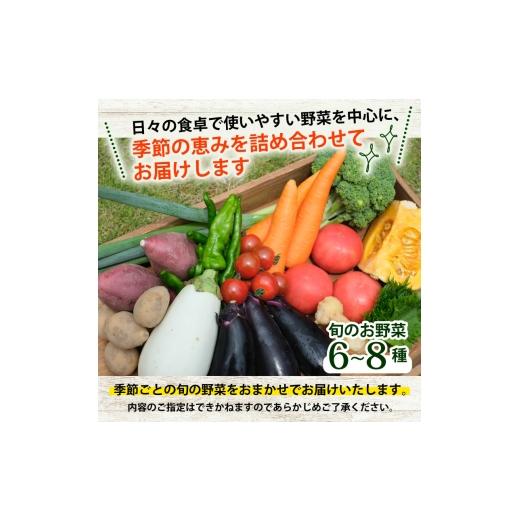 ふるさと納税 セット・詰合せ 京都府 南丹市  No.5334-0478 野菜セット＋平飼い卵6個の画像