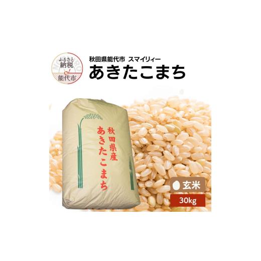 ふるさと納税 米 あきたこまち 秋田県 能代市 令和7年産 あきたこまち 玄米 30kg 秋田県産 お米 米 ごはん ご飯 単一原料米_1