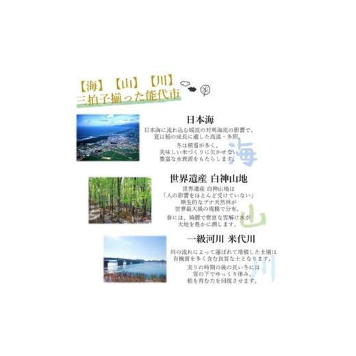 ふるさと納税 米 あきたこまち 秋田県 能代市 令和7年産 あきたこまち 玄米 30kg 秋田県産 お米 米 ごはん ご飯 単一原料米_3