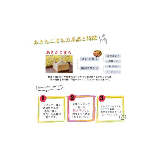 ふるさと納税 米 あきたこまち 秋田県 能代市 令和7年産 あきたこまち 玄米 30kg 秋田県産 お米 米 ごはん ご飯 単一原料米_4