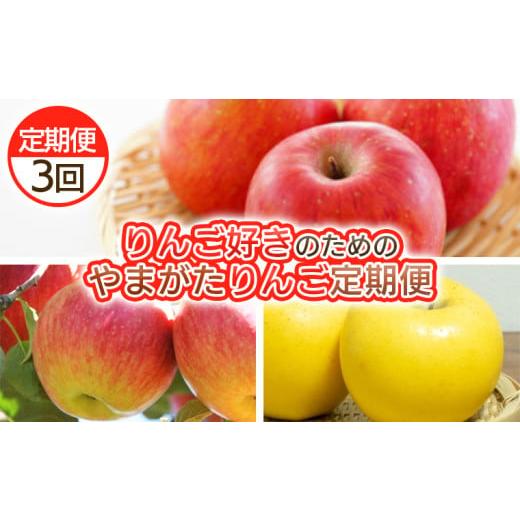 ふるさと納税 りんご 山形県 山形市 定期便3回 りんご好きのためのやまがたりんご定期便 令和8年産先行予約 FS25-749