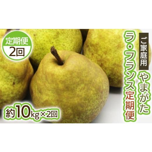 ふるさと納税 梨 山形県 山形市 定期便2回 ご家庭用 やまがたラ・フランス10kg×2回 令和8年産先行予約 FS25-750
