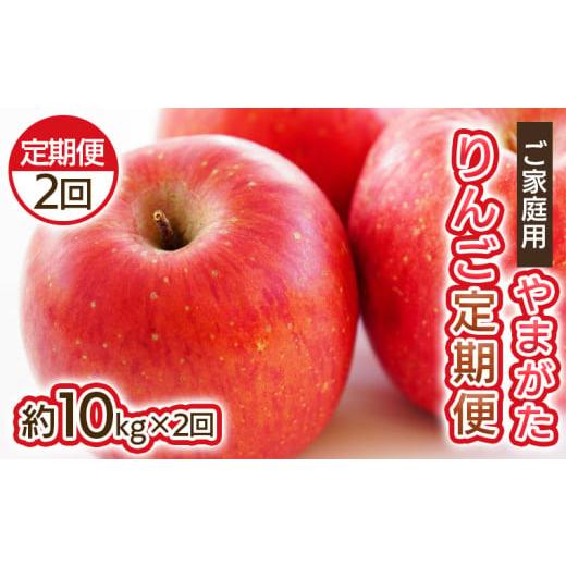 ふるさと納税 りんご 山形県 山形市 定期便2回 ご家庭用 やまがたりんご定期便 令和8年産先行予約 FS25-793