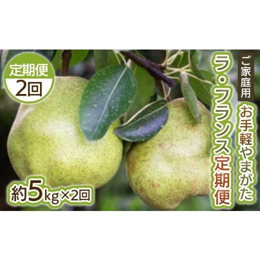 ふるさと納税 梨 山形県 山形市 定期便2回 お手軽 ご家庭用 やまがたラ・フランス 5kg×2回 令和8年産先行予約 FS25-751