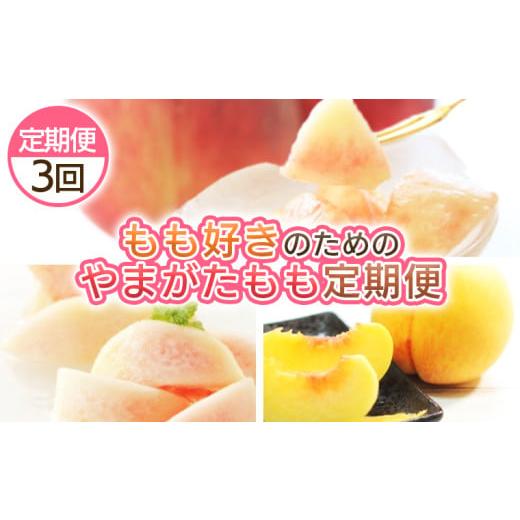 ふるさと納税 もも 山形県 山形市 定期便3回 もも好きのためのやまがたもも定期便 令和8年産先行予約 FS25-694 くだもの 果物 フルーツ 山形 山形県 山形市 2…