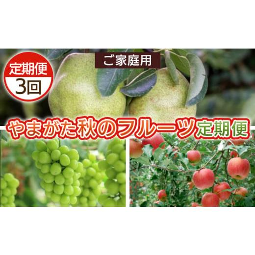 ふるさと納税 ぶどう マスカット 山形県 山形市 定期便3回 ご家庭用 やまがた秋のフルーツ定期便 令和8年産先行予約 FS25-695 くだもの 果物 フルーツ 山形 …