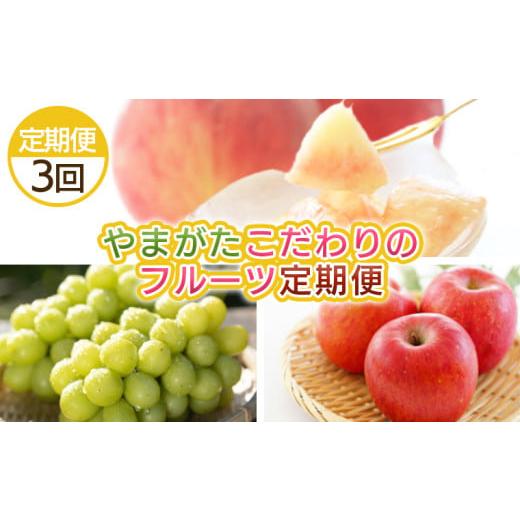 ふるさと納税 もも 山形県 山形市 定期便3回 やまがた こだわりのフルーツ定期便 令和8年産先行予約 FS25-696 くだもの 果物 フルーツ 山形 山形県 山形市 20…