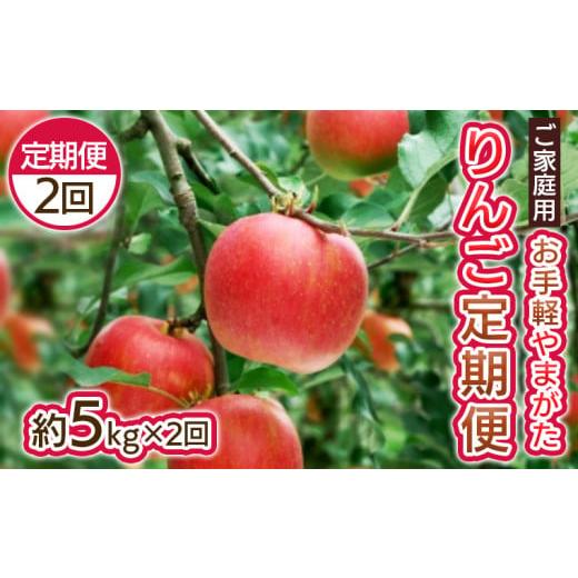 ふるさと納税 りんご 山形県 山形市 定期便2回 お手軽 ご家庭用 やまがたりんご定期便 令和8年産先行予約 FS25-794