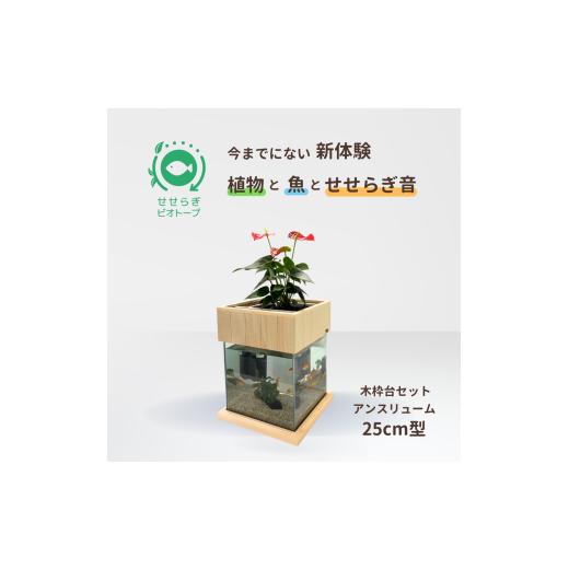 ふるさと納税 雑貨・日用品 広島県 東広島市 せせらぎビオトープ 25cm型基本+木枠台セット(アンスリウム) アンスリウム