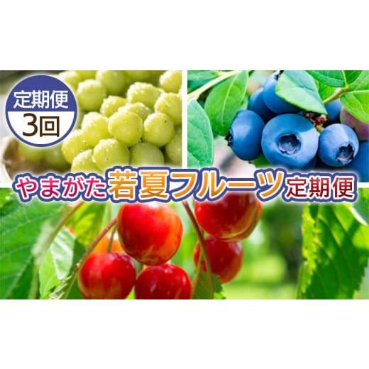 ふるさと納税 果物類 さくらんぼ 山形県 山形市 定期便3回 やまがた 若夏のフルーツ定期便 令和8年産先行予約 FS25-700 くだもの 果物 フルーツ 山形 山形県 …