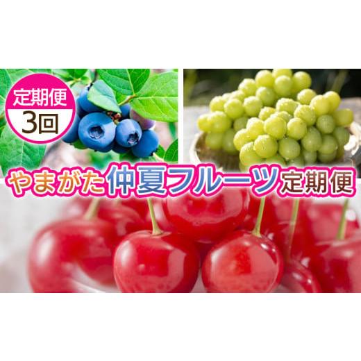 ふるさと納税 果物類 さくらんぼ 山形県 山形市 定期便3回 やまがた 仲夏フルーツ定期便 令和8年産先行予約 FS25-701 くだもの 果物 フルーツ 山形 山形県 …