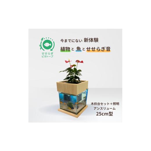 ふるさと納税 雑貨・日用品 広島県 東広島市 せせらぎビオトープ 25cm型照明+木枠台セット(アンスリウム) アンスリウム