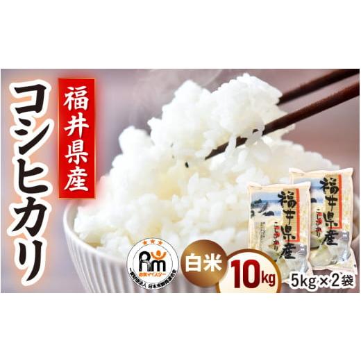 ふるさと納税 米 コシヒカリ 福井県 越前町 令和7年産 米 10kg(5kg×2袋)精米 コシヒカリ 福井県産[14日以内に出荷予定] 白米 5キロ 10キロ こしひかり お…
