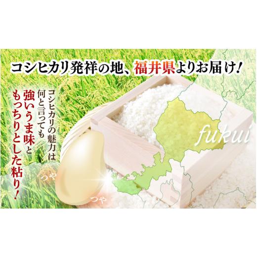 ふるさと納税 米 コシヒカリ 福井県 越前町 令和7年産 5kg 精米 福井県