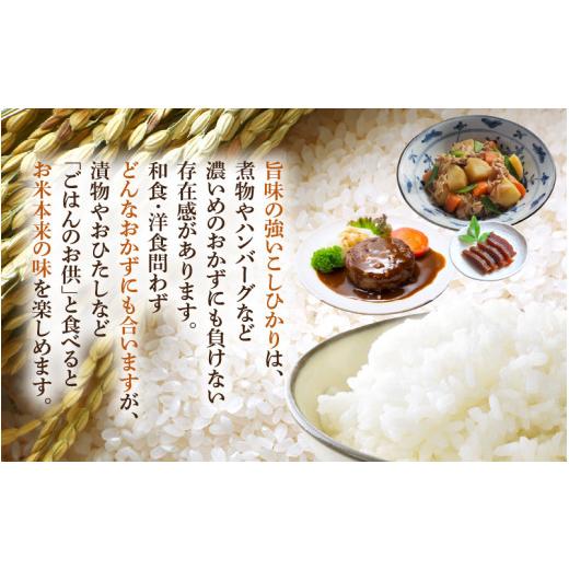 ふるさと納税 米 コシヒカリ 福井県 越前町 令和7年産 5kg 精米 福井県