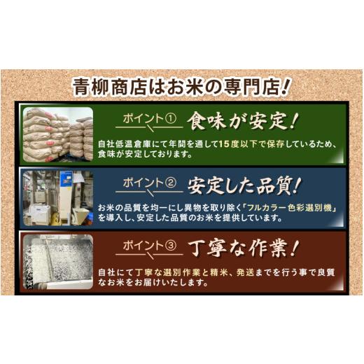 ふるさと納税 米 コシヒカリ 福井県 越前町 令和7年産 5kg 精米 福井県