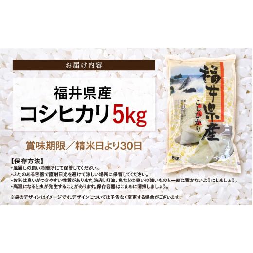 ふるさと納税 米 コシヒカリ 福井県 越前町 令和7年産 5kg 精米 福井県