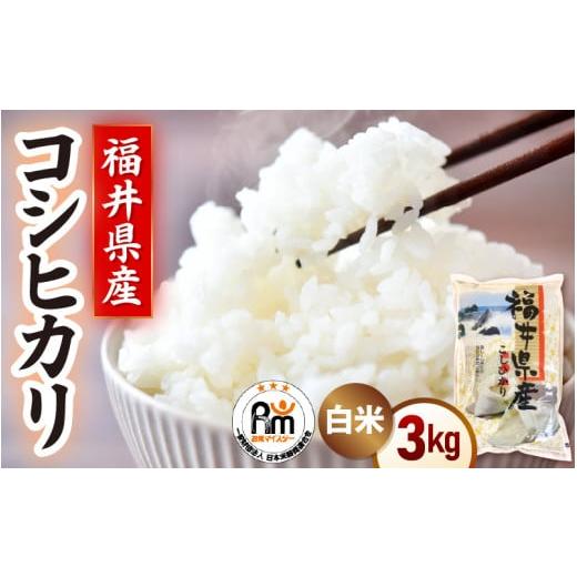 ふるさと納税 米 コシヒカリ 福井県 越前町 令和7年産 米 3kg 精米 コシヒカリ 福井県産[14日以内に出荷予定] 白米 3キロ こしひかり 少量 お米 人気品種 産…