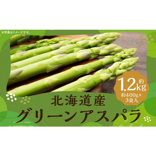 ふるさと納税 野菜類 北海道 京極町 グリーンアスパラ 約1.2kg (Lサイズ 約400g×2袋・Mサイズ 約400g×1袋) (JA) アスパラガス アスパラ 国産 冷蔵 2026…