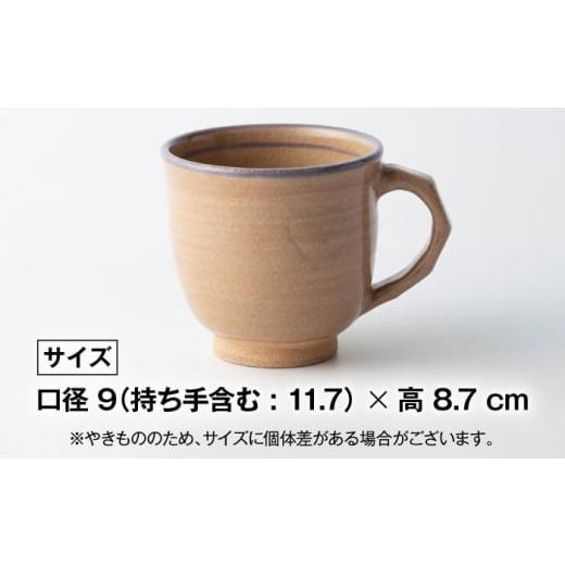 ふるさと納税 食器・グラス マグカップ 佐賀県 武雄市  星野窯 フチ紫 マグカップ UCD023の画像