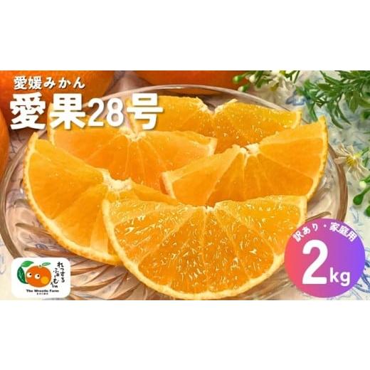 ふるさと納税 果物類 みかん 愛媛県 伊予市 愛果28号 紅まどんなと同一品種 みかん 2kg ご家庭用 傷あり レッスルファーム 愛媛 2025年12月中旬順次発送 先行…