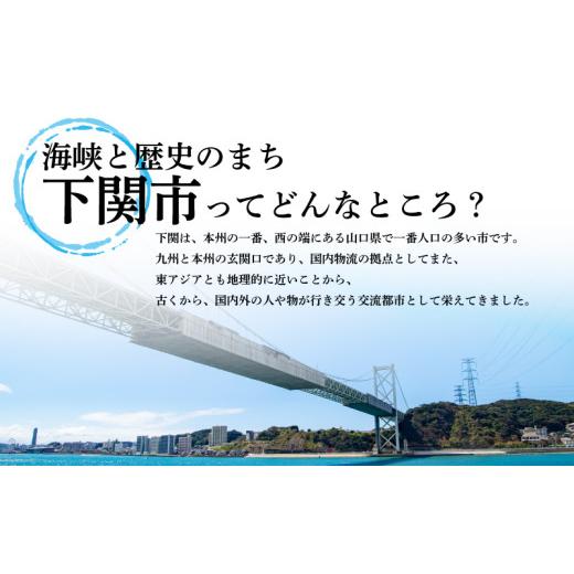 ふるさと納税 スポーツ・アウトドア 山口県 下関市  コーヒー風味 EZOBOLIC プロテイン 1kg 定期便 3回 コーヒー風味_9