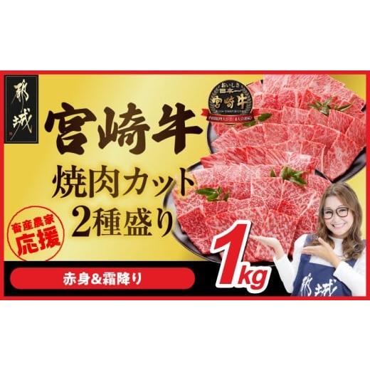 ふるさと納税 牛肉 焼肉・バーベキュー 宮崎県 都城市 畜産農家応援 宮崎牛焼肉2種セット500g×2パック_AC-N204_(都城市) 1kg 赤身 霜降り 肩ロース又はロース…