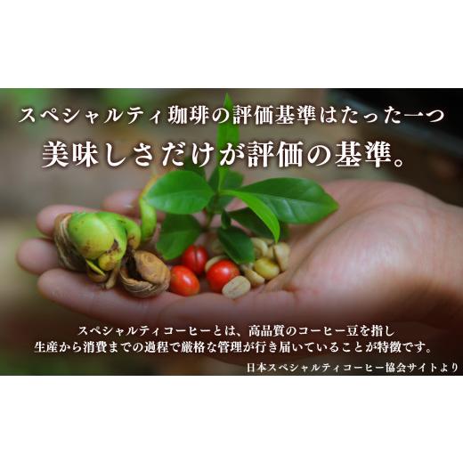 ふるさと納税 コーヒー コーヒー豆 奈良県 平群町 世界中の珈琲豆の僅か1％未満 稀少 厳選 珈琲豆 トップスペシャルティーコーヒー 200g× 2袋 定期便 12回 | …の画像