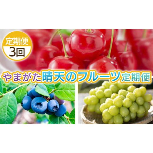 ふるさと納税 果物類 さくらんぼ 山形県 山形市 定期便3回 やまがた 晴天のフルーツ定期便 令和8年産先行予約 FS25-702 くだもの 果物 フルーツ 山形 山形県 …