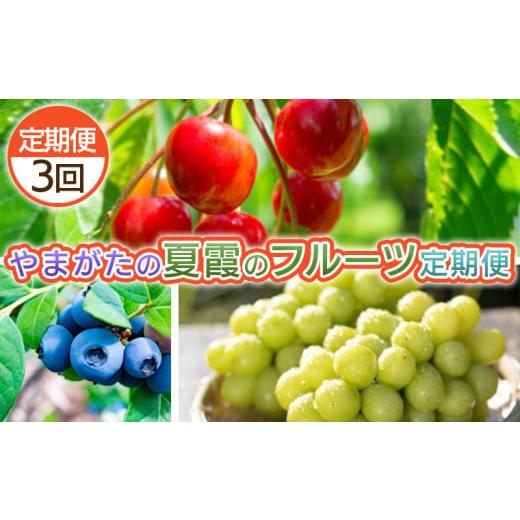 ふるさと納税 果物類 さくらんぼ 山形県 山形市 定期便3回 やまがた 夏霞のフルーツ定期便 令和8年産先行予約 FS25-703 くだもの 果物 フルーツ 山形 山形県…