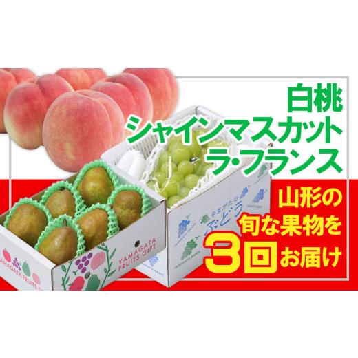 ふるさと納税 もも 山形県 山形市 定期便3回 フルーツ王国山形 白桃・シャインマスカット・ラフランス FZ26-809