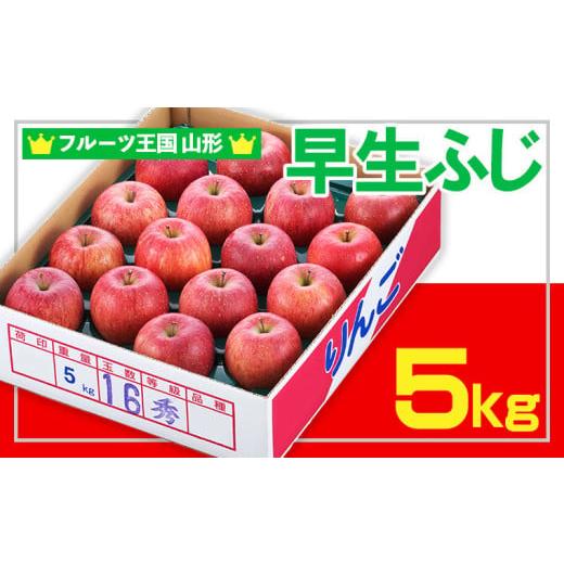 ふるさと納税 りんご 山形県 山形市 フルーツ王国山形 りんご (早生ふじ) 秀品 5kg 令和8年産先行予約 FS25-753