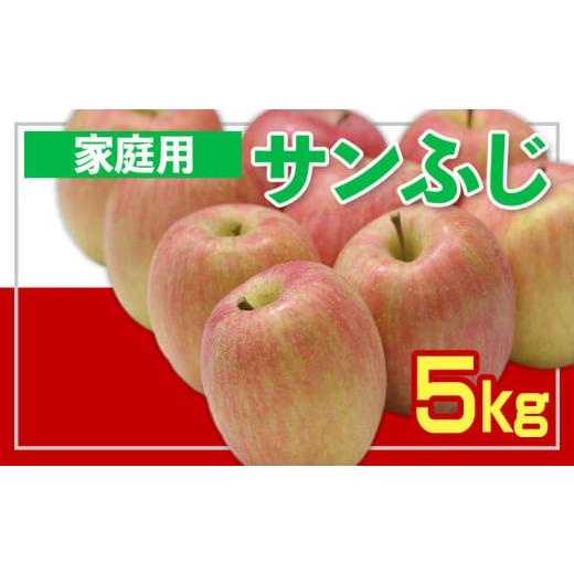 ふるさと納税 りんご 山形県 山形市 家庭用 フルーツ王国山形 りんご (サンふじ) 5kg 令和8年産先行予約 FS25-756