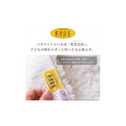 ふるさと納税 雑貨・日用品 和歌山県 海南市 乾度良好 Dナチュレ バスマット 約36×55cm グリーン 吸水速乾 裏面すべり止め加工 抗菌防臭 洗える 足拭きマット…_3