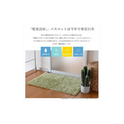 ふるさと納税 雑貨・日用品 和歌山県 海南市 乾度良好 Dナチュレ バスマット 約36×55cm グリーン 吸水速乾 裏面すべり止め加工 抗菌防臭 洗える 足拭きマット…_4