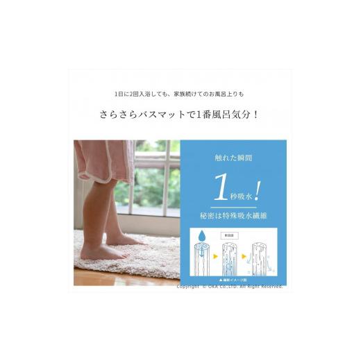 ふるさと納税 雑貨・日用品 和歌山県 海南市 乾度良好 Dナチュレ バスマット 約36×55cm グリーン 吸水速乾 裏面すべり止め加工 抗菌防臭 洗える 足拭きマット…_5