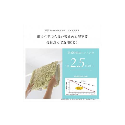 ふるさと納税 雑貨・日用品 和歌山県 海南市 乾度良好 Dナチュレ バスマット 約36×55cm グリーン 吸水速乾 裏面すべり止め加工 抗菌防臭 洗える 足拭きマット…_6