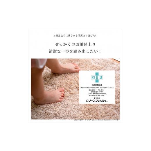 ふるさと納税 雑貨・日用品 和歌山県 海南市 乾度良好 Dナチュレ バスマット 約36×55cm グリーン 吸水速乾 裏面すべり止め加工 抗菌防臭 洗える 足拭きマット…_7