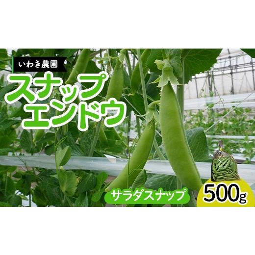 ふるさと納税 豆類 岩手県 山田町 期間限定 スナップエンドウ 三陸山田産 5月中旬〜6月中旬発送 500g すなっぷえんどう 新鮮 いわき農園 三陸山田 山田町 野…