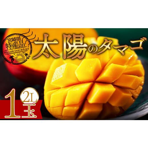 ふるさと納税 マンゴー 宮崎県 国富町 期間限定 先行予約 2026年発送 宮崎県産 太陽のタマゴ 2L×1個 2026年5月初旬〜7月末迄に順次出荷 選べる 完熟マンゴー…