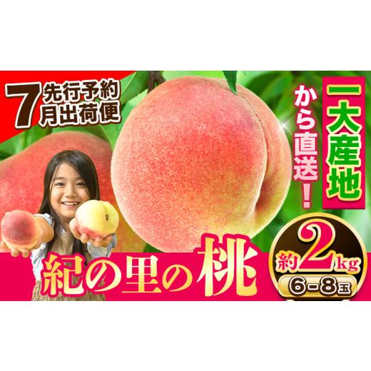 ふるさと納税 もも 和歌山県 紀の川市 最盛期の7月出荷 桃 もも〜とろける甘さ〜 紀の里の桃 約2kg(6-8玉入り) 先行予約 桃 2026年 先行予約2026 もも2025 白…の画像