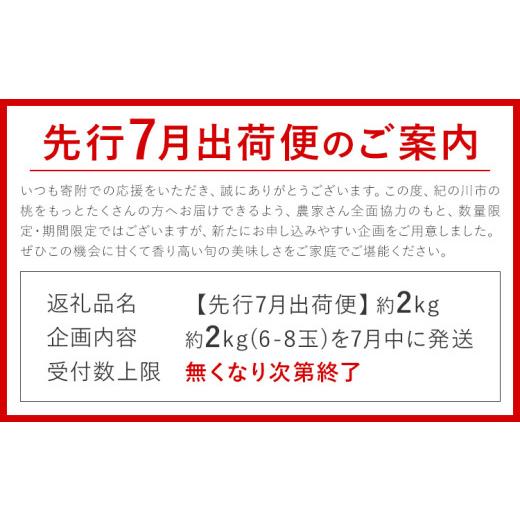 ふるさと納税 もも 和歌山県 紀の川市 最盛期の7月出荷 桃 もも〜とろける甘さ〜 紀の里の桃 約2kg(6-8玉入り) 先行予約 桃 2026年 先行予約2026 もも2025 白…の画像