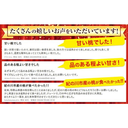 ふるさと納税 もも 和歌山県 紀の川市 最盛期の7月出荷 桃 もも〜とろける甘さ〜 紀の里の桃 約2kg(6-8玉入り) 先行予約 桃 2026年 先行予約2026 もも2025 白…の画像