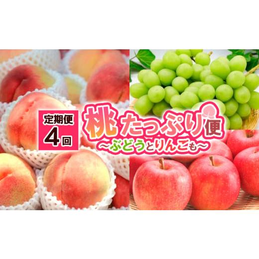 ふるさと納税 もも 山形県 山形市 定期便4回 桃たっぷり便〜ぶどうとりんごも〜 令和8年産先行予約 FS25-689 くだもの 果物 フルーツ 山形 山形県 山形市 202…