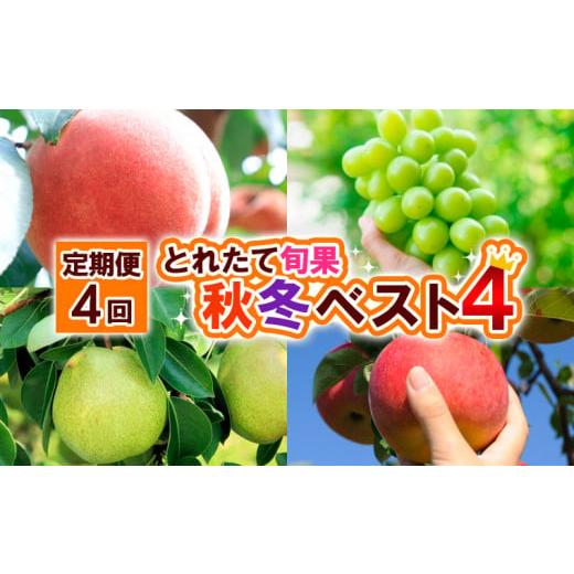 ふるさと納税 もも 山形県 山形市 定期便4回 とれたて旬果 秋冬ベスト4 令和8年産先行予約 FS25-690 くだもの 果物 フルーツ 山形 山形県 山形市 2026年産