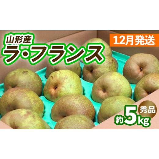 ふるさと納税 梨 山形県 山形市 山形のラ・フランス約5kg(10〜16玉 3L〜6L) 12月発送 令和8年産先行予約 FS25-743