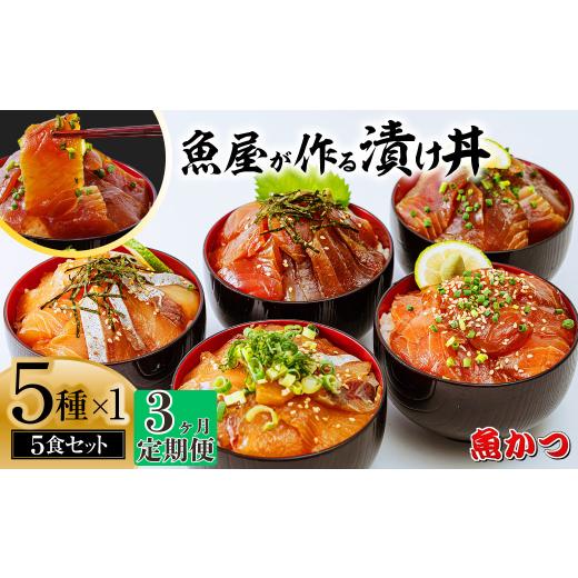 ふるさと納税 魚貝類 山口県 宇部市 3ヶ月 定期便 漬け丼 5種×1パック 計5食セット | 漬け丼 定期便 海鮮 惣菜 冷凍 真空パック 小分け 海鮮丼 海鮮セット …