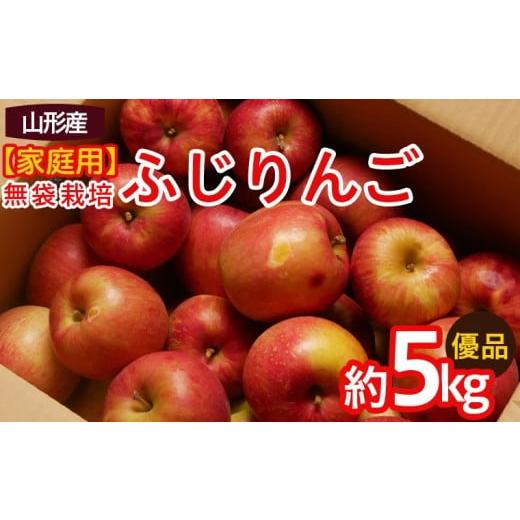 ふるさと納税 りんご 山形県 山形市 家庭用 ふじりんご 優品 約5kg入り 令和8年産先行予約 FS25-760